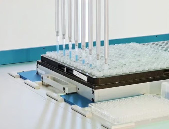 AI 결합한 ‘미니장기’ 대약진…기술전쟁 선봉에 선 K-바이오는?